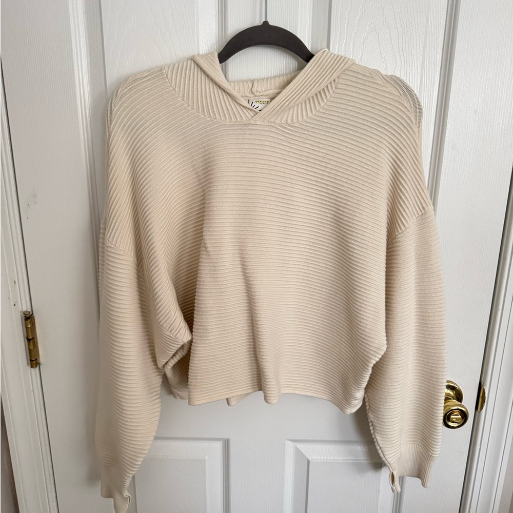 Offline By Aerie Hoodie